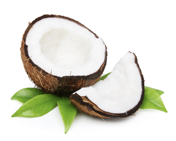 Our Favorite Ingredients And How They Can Benefit Your Skin! - Olga's Organics