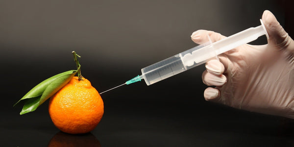 Why You Need To Know About GMOs - Olga's Organics